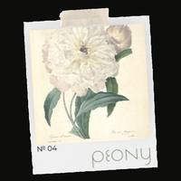 FEENKA No. 04 — Peony · French Roast