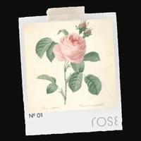 FEENKA No. 01 — Rose · Signature Blend · Medium